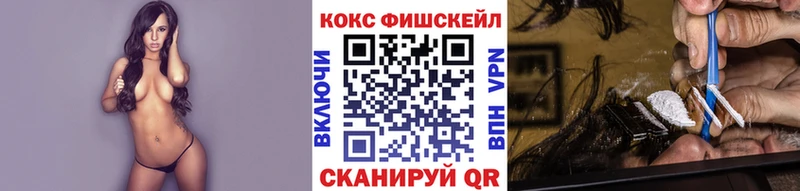 КОКАИН Fish Scale  наркотики  блэк спрут ONION  Пудож 