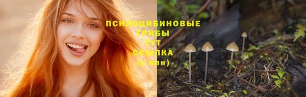 прущий лед Ладушкин