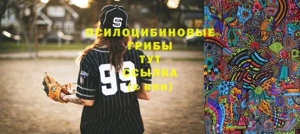 герыч Лагань