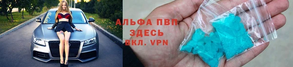 прущий лед Ладушкин
