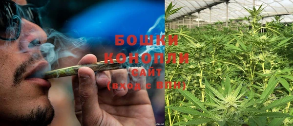 PSILOCYBIN Лиски