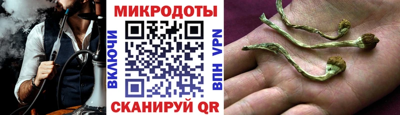 Галлюциногенные грибы Magic Shrooms  Пудож 